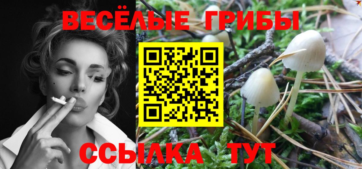 Галлюциногенные грибы ЛСД Новокубанск