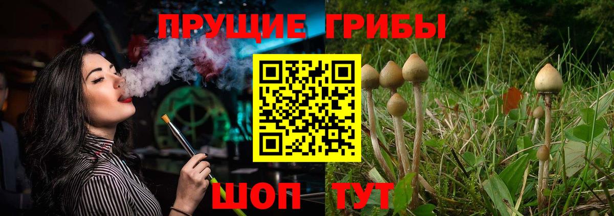 Псилоцибиновые грибы мухоморы  Псилоцибиновые грибы MAGIC MUSHROOMS  Новокубанск  Вход с VPN 