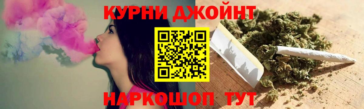 Канабис конопля Новокубанск